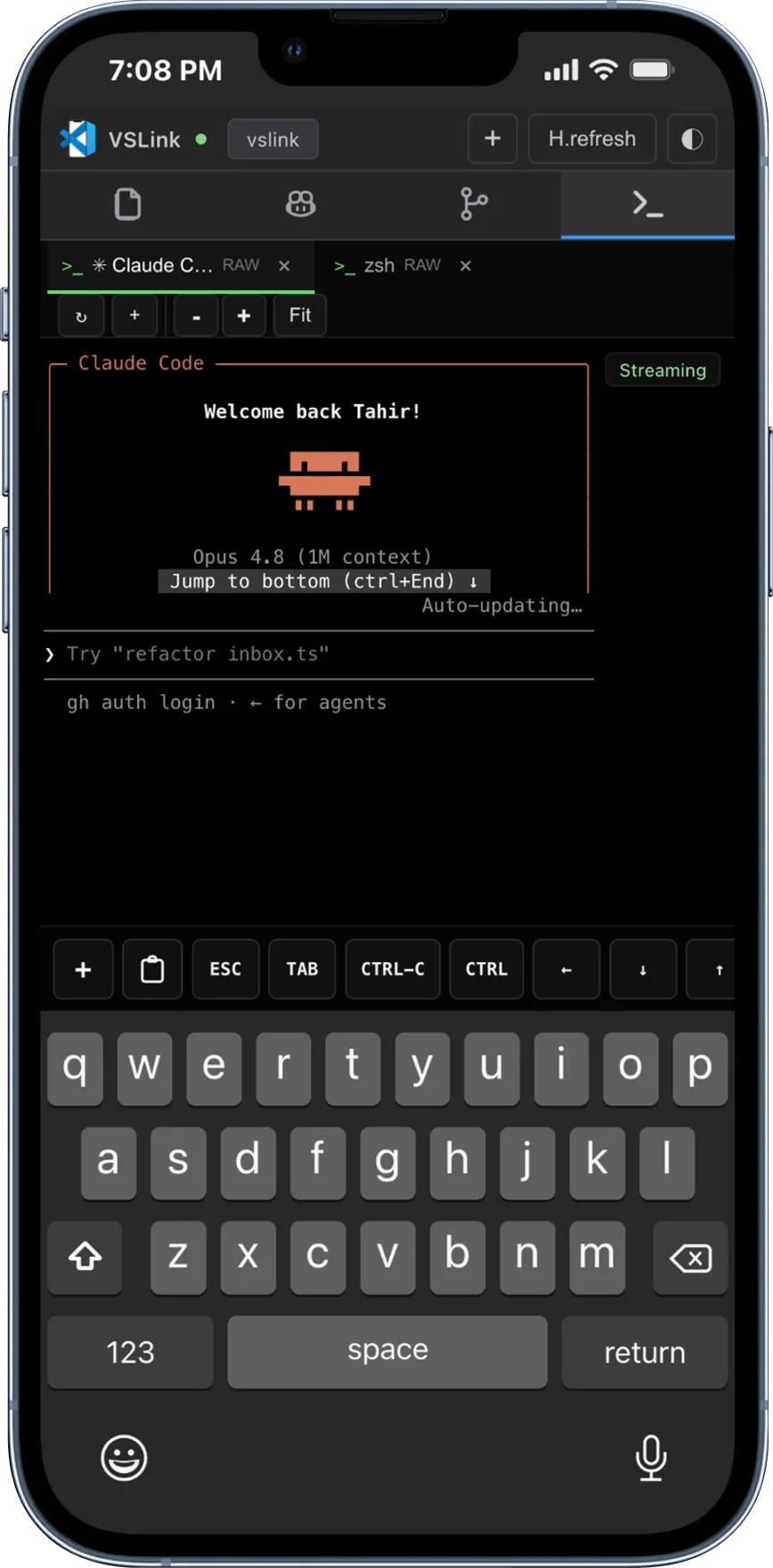 Terminal interface on VSCodeMobile for iPhone