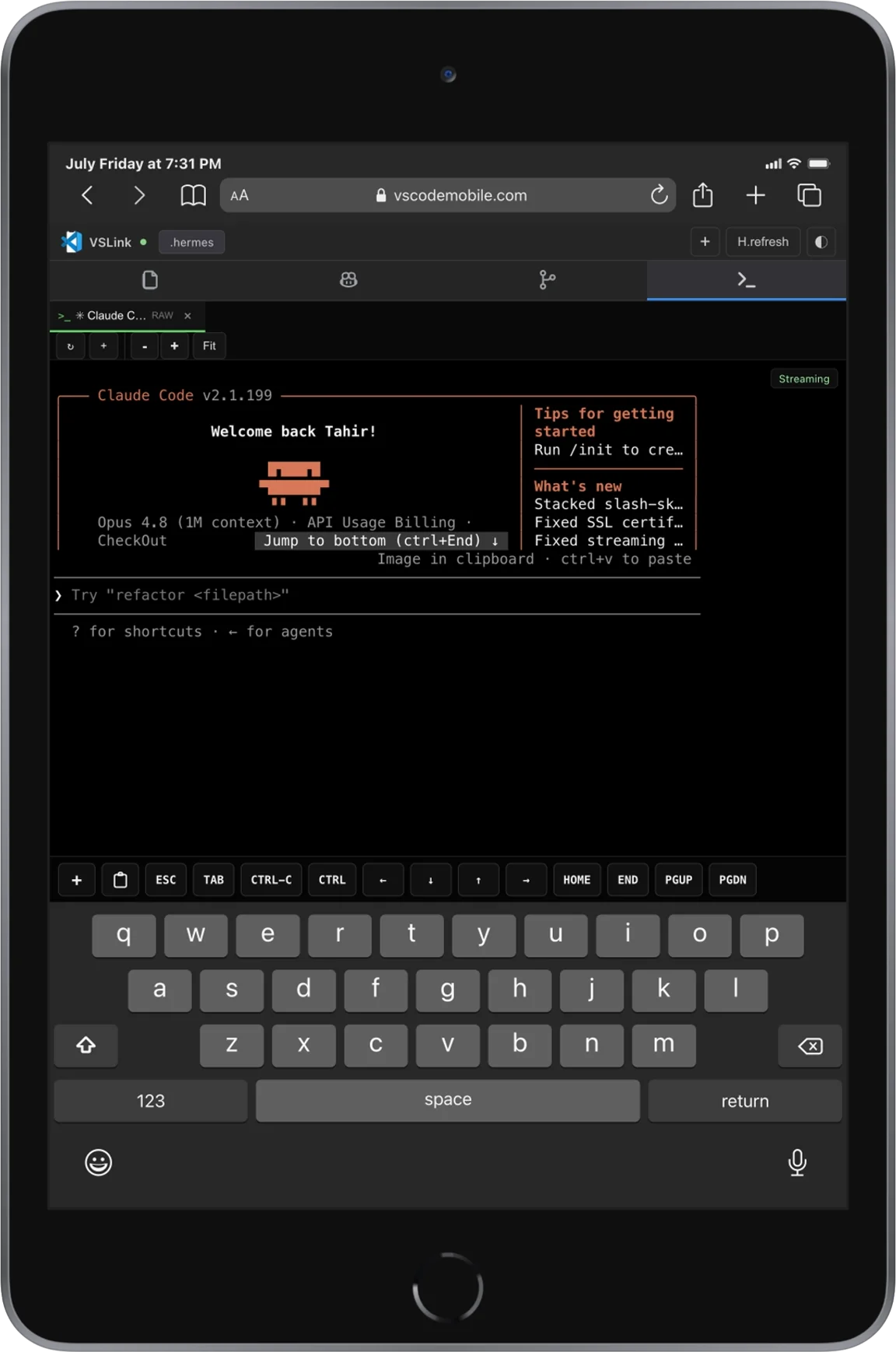 Terminal interface on VSCodeMobile for tablet