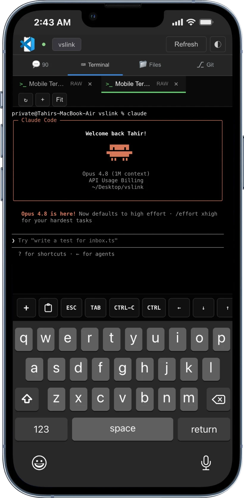 Terminal interface in VSCodeMobile